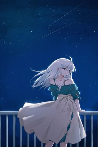 Dreamy Night Under the ..