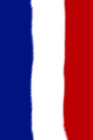 Vibrant French Flag 🇫🇷