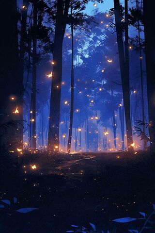 Enchanted Forest Glow ✨🌲