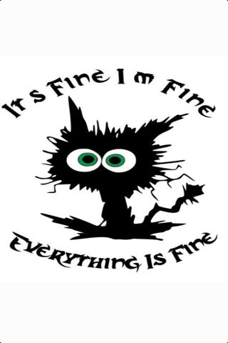 Everything is Fine! 😅