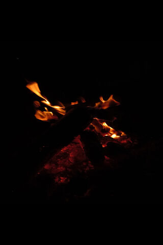 Cozy Campfire Vibes 🔥✨