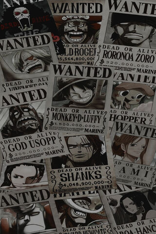 Bounty Hunters Unite! 🏴‍☠️💰