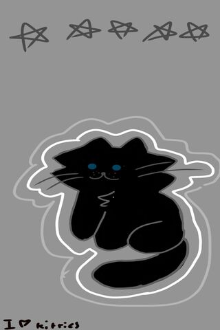 Gato