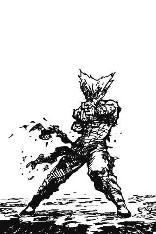 Garou BnW