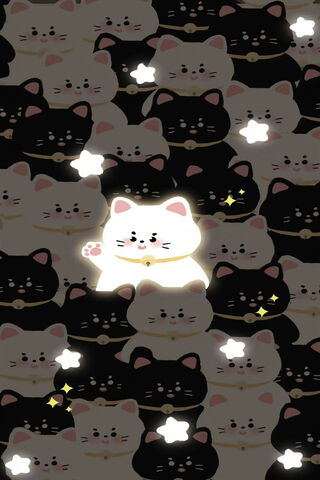 Shining Star Among Cats ✨🐾