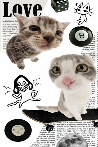 Cool Cats on a Skateboard! 🐾🛹