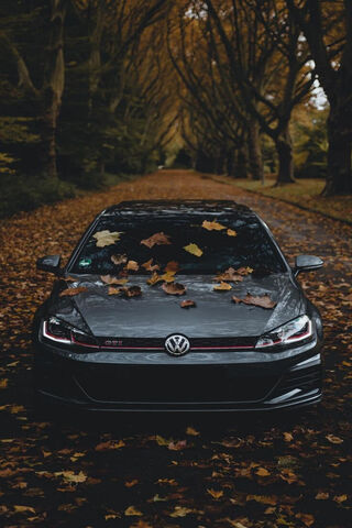 Autumn Vibes with a VW ..
