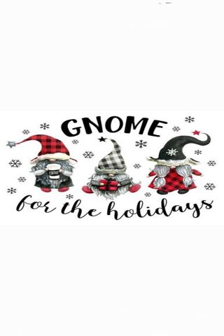 Gnome for the Holidays 🎄✨