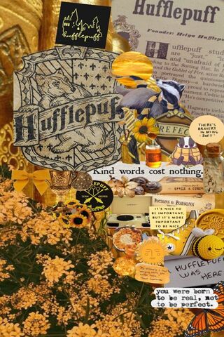 Hufflepuff Vibes 🌼✨