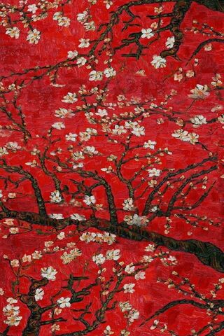 Blossoms of Spring 🌸🌳
