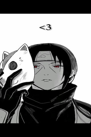 Mysterious Masked Ninja..