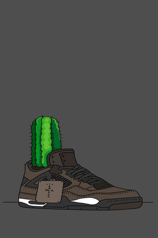 Sneaker Cactus 🌵👟