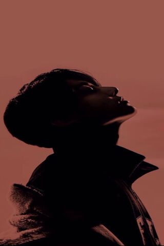 Silhouette of Contempla..
