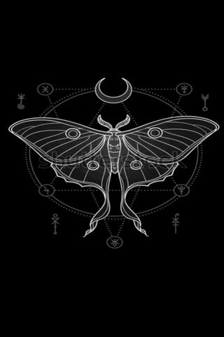 Mystical Moth 🦋✨