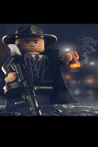 Mysterious Vigilante in..