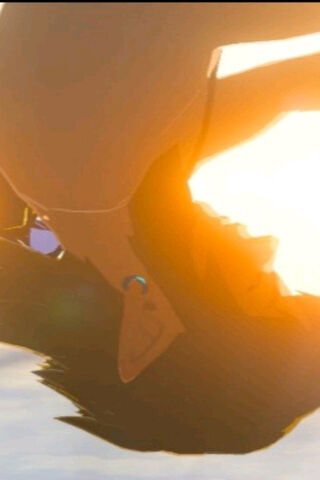 Link Totk