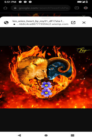 Fiery Connection: Leo &..