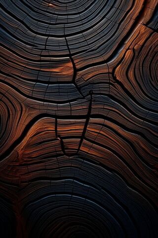 Nature's Art: The Beauty of Wood Grain 🌳✨