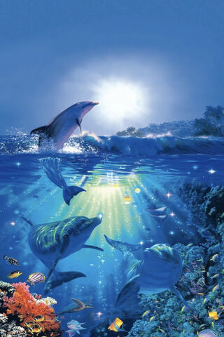 Dancing Dolphins Under the Moonlight 🌊🐬