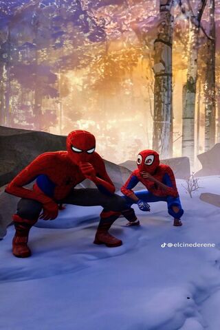 Web-Slinging Adventures..