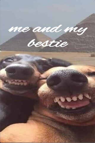 Smiles with My Bestie a..