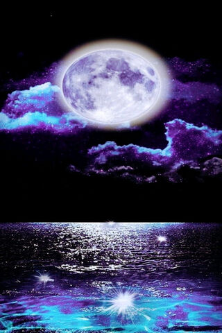 Enchanted Moonlit Night..