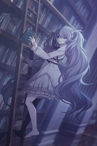 Enigmatic Library Explo..