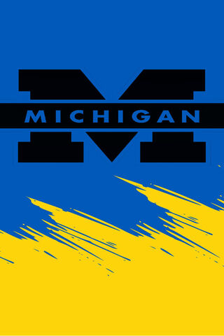 Michigan Spirit! 🎉
