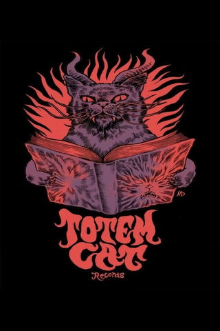 Mystical Totem Cat 📚✨