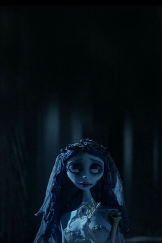 The Enigmatic Bride 🌙💔