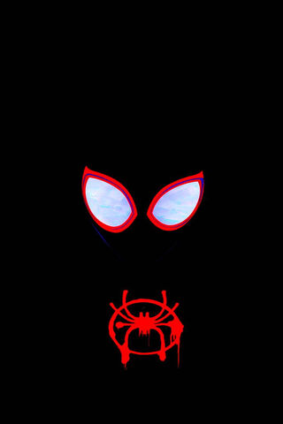 Spider-Man: Into the Mu..
