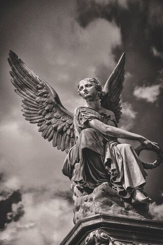 Majestic Guardian Angel..