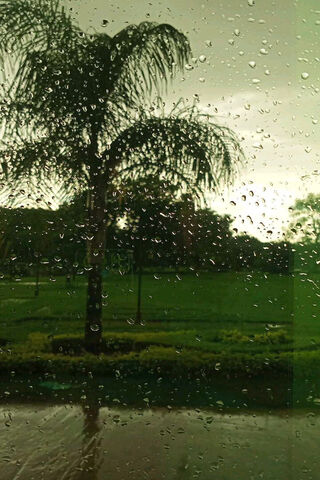Nature Raining