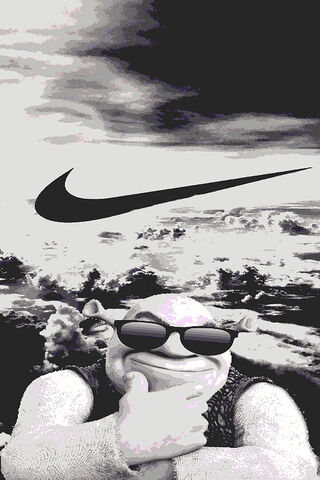 Nike X Onion
