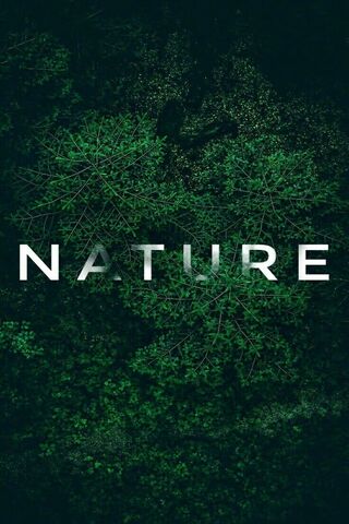 Embracing Nature 🌿