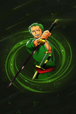 Zoro's Fierce Stance ⚔️🌿