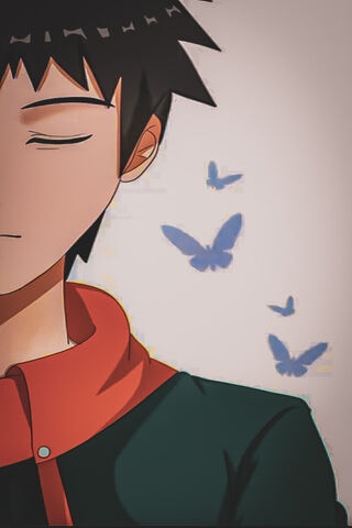 Whispering Butterflies ..