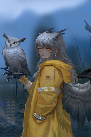 Mystical Guardian of th..
