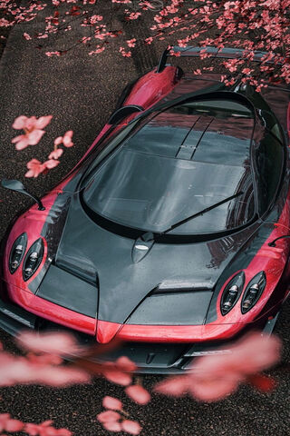 Pagani: A Blossom of Speed 🌸🏎️