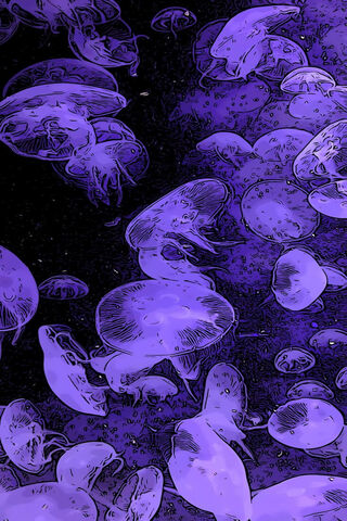 Enchanted Jellyfish Dan..