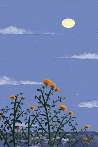 Moonlit Blooms 🌙🌼