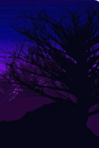 Mysterious Twilight Sil..