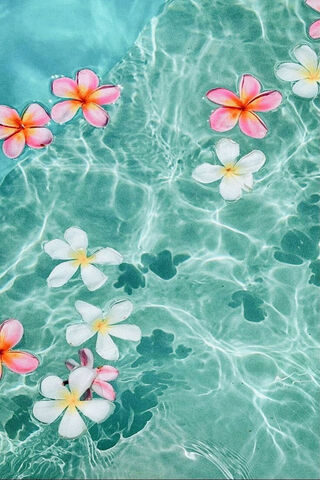 Tropical Serenity 🌺💦