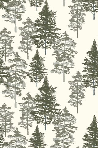 Pine Trees