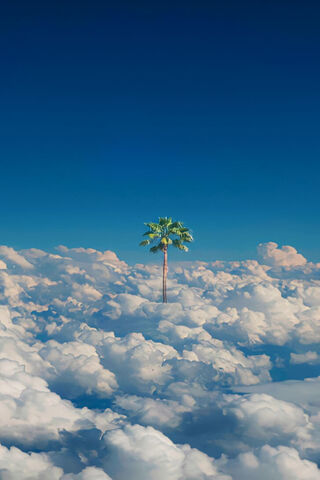 Dreamy Oasis in the Sky 🌴☁️