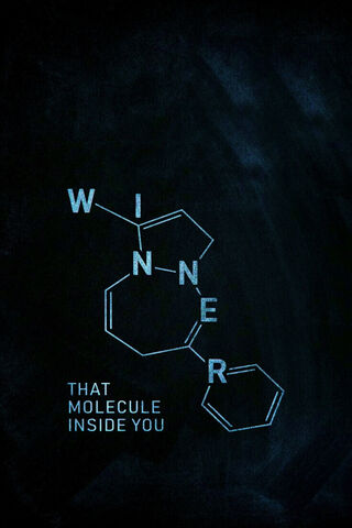 Unleashing the Winner W..