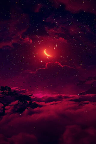 Crimson Dreams: A Journ..