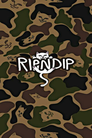 RIPNDIP
