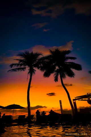 Sunset Serenity 🌅🌴