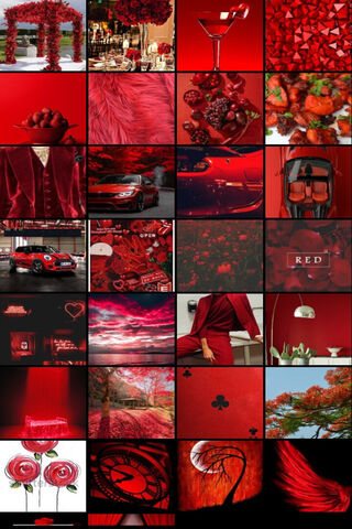 A Vibrant Celebration o..